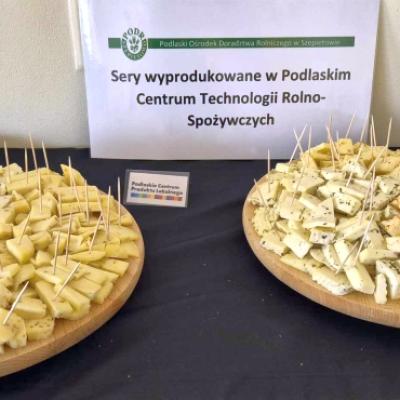 Pss Konferencja 003